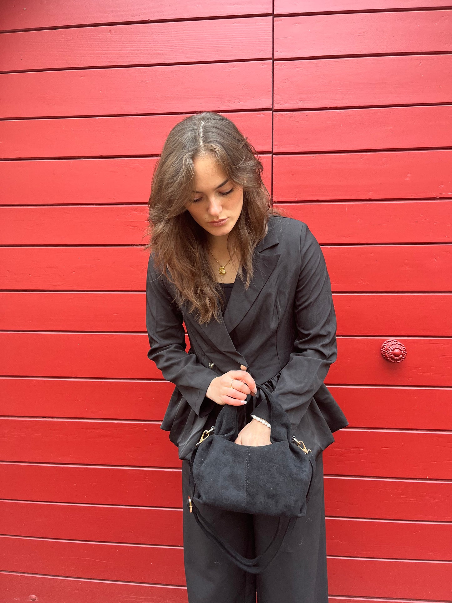Sac Luna